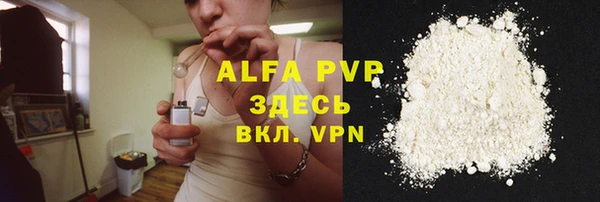 гашик Сатка