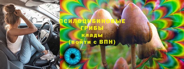 гашик Сатка