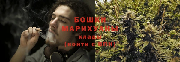дурь Каменногорск