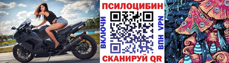 Псилоцибиновые грибы мицелий Сосенский