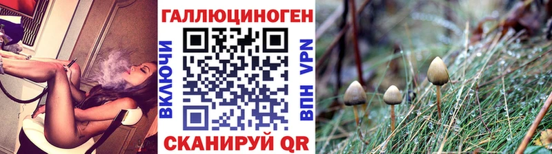 Псилоцибиновые грибы Psilocybine cubensis  блэк спрут как войти  Сосенский 